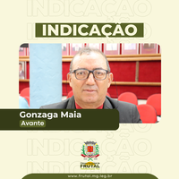A fim de garantir mais segurança, vereador Gonzaga pede troca de lâmpadas em avenida da Vila Esperança