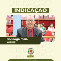 A fim de prevenir acidente, vereador Gonzaga pede realização de poda de árvore na Vila Esperança