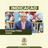  Em indicação, Gonzaga Maia cobra providências sobre água estagnada na Rua Belo Horizonte