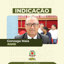 Em indicação, Gonzaga pede poda de árvores em ruas da Vila Esperança