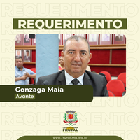  Em requerimento, Gonzaga questiona Executivo sobre prolongamento da rede de energia elétrica