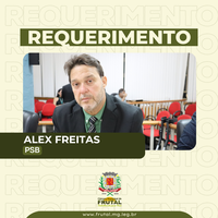 Gastos com decoração natalina são questionados em requerimento pelo vereador Alex Freitas
