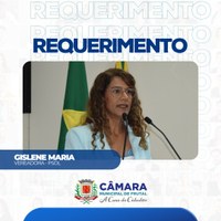 Gislene Maria faz requerimento solicitando informações sobre pavimentação das ruas do Jardim Brasil