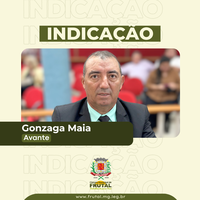 Gonzaga cobra limpeza de sarjetas, pintura de meio-fio e instalação de placas de ruas em Frutal