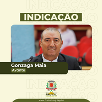Gonzaga indicação duplicação de via entre bairros Frutal II e III