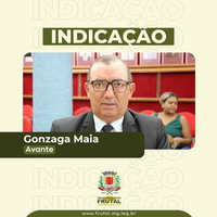 Gonzaga Maia cobra agilização do processo licitatório visando a reforma e ampliação do campo de futebol Allan Kardec