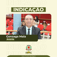 Gonzaga Maia quer lixeira no canteiro central da Avenida Euvaldo Lodi