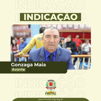 Gonzaga Maia reivindica instalação de lombadas no bairro Vila Esperança
