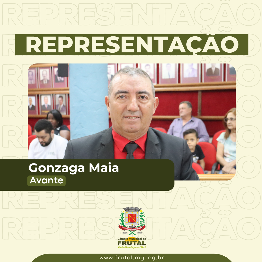  Gonzaga Maia solicita apoio do deputado Luís Tibé para instalação de rede de esgoto no bairro Ipê Amarelo