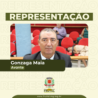 Gonzaga pede recursos para paisagismo em bairro e ambulância para povoado