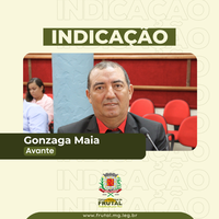 Gonzaga quer asfaltamento e ampliação da rede elétrica no Ipê Amarelo