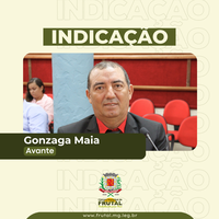 Gonzaga quer instalação de playground na praça do Bairro Waldemar Marchi
