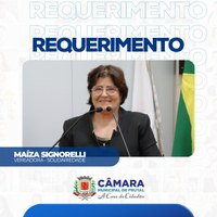 Em requerimento, Maíza pede informações sobre oftalmologista que atende no serviço público