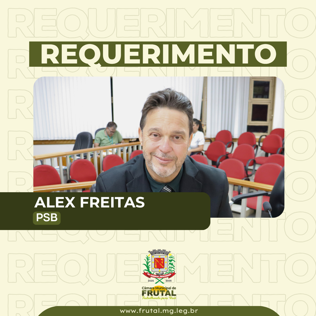 Requerimento de Alex cobra informações sobre tapa-buracos em ruas da cidade