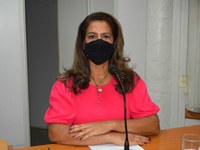 Vereadora Gislene cobra cumprimento de lei sobre acessibilidade de pessoas portadoras de deficiência