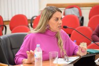 Juliene Sabino requer medidas para controle de doenças causadas pelo mosquito Aedes aegypti