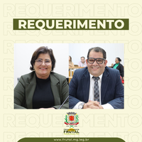 Maíza Signorelli e Simbio querem informações sobre situação da “Ilha do Sol” e sugere feira de artesanato no local