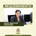 Maíza Signorelli questiona sobre o problema de alagamento em avenida do Jardim do Bosque