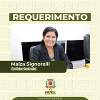 Maíza Signorelli questiona sobre o problema de alagamento em avenida do Jardim do Bosque