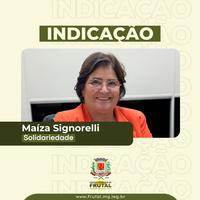 Maiza Signorelli solicita instalação de contêiner na Praça da Matriz