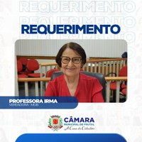 Professora Irma cobra segurança em instituições públicas e praças da cidade