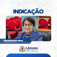 Programa de incentivo ao futebol feminino é solicitado em indicação pela professora Irma