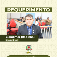 Rapinha requisita informações do Executivo sobre realização de cirurgias de histerectomia