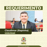 Rapinha sugere realização de audiência pública para discutir “regionalização da saúde”