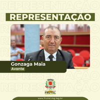 Representação do vereador Gonzaga Maia ao deputado Arnaldo pede recursos para melhorias no campo de futebol Alan Kardec