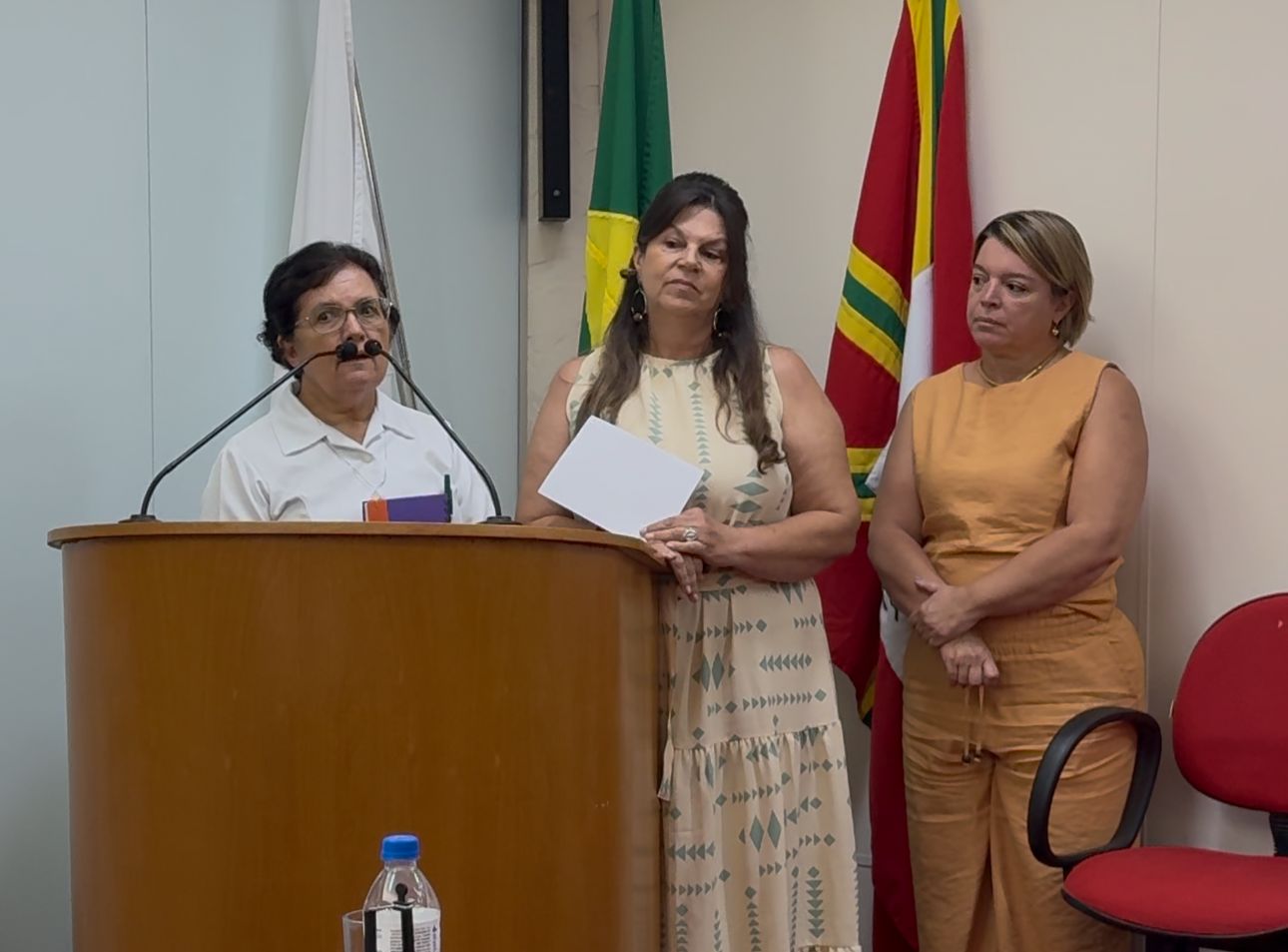  Representantes de instituições de educação infantil expõem dificuldades financeiras na Câmara Municipal