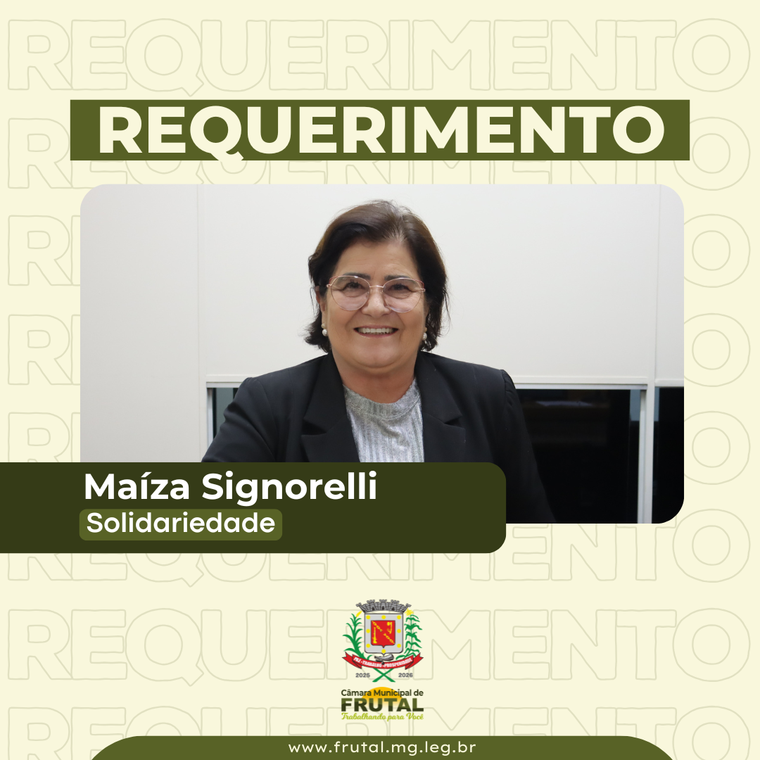 Requerimento de Maiza cobra instituição do programa “Praça Digital”