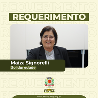 Requerimento de Maiza cobra instituição do programa “Praça Digital”