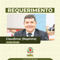 Requerimento de Rapinha questiona sobre vistoria em terrenos ou imóveis quanto a acúmulo de lixo e existência de mato