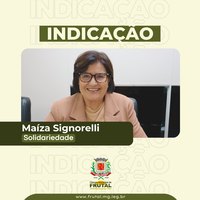 Telões em praças para transmissão da Copa do Mundo são sugeridos por Maíza Signorelli