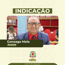 Vereador Gonzaga indica a duplicação de via de acesso entre os bairros Frutal II e Frutal III