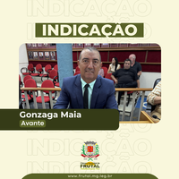  Vereador Gonzaga Maia cobra limpeza em ruas da Vila Esperança e bairro Caju