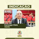 Vereador Gonzaga Maia reivindica aquisição de van para transporte de pessoas das comunidades rurais de Frutal