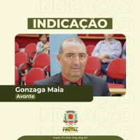 Vereador Gonzaga solicita extensão da rede elétrica no bairro Frutal II