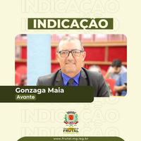Vereador Gonzaga solicita extensão de rede elétrica e colocação de postes em ruas da cidade