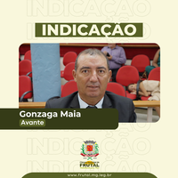  Vereador Gonzaga solicita instalação de redutores de velocidade em pontos estratégicos da cidade