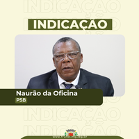 Vereador Naurão cobra manutenção de ponte que dá acesso a UEMG