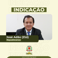  Vereador Zizi pede dedetização para combater infestação de pernilongos