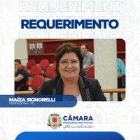 Vereadora Maíza Signorelli cobra informações sobre recapeamento da Rua 13 de Maio