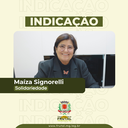  Vereadora Maíza Signorelli requisita operação tapa-buracos na Rua Paraná