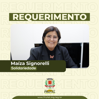 Vereadora Maíza Signorelli solicita estudos para reabertura de trecho do Calçadão para impulsionar comércio