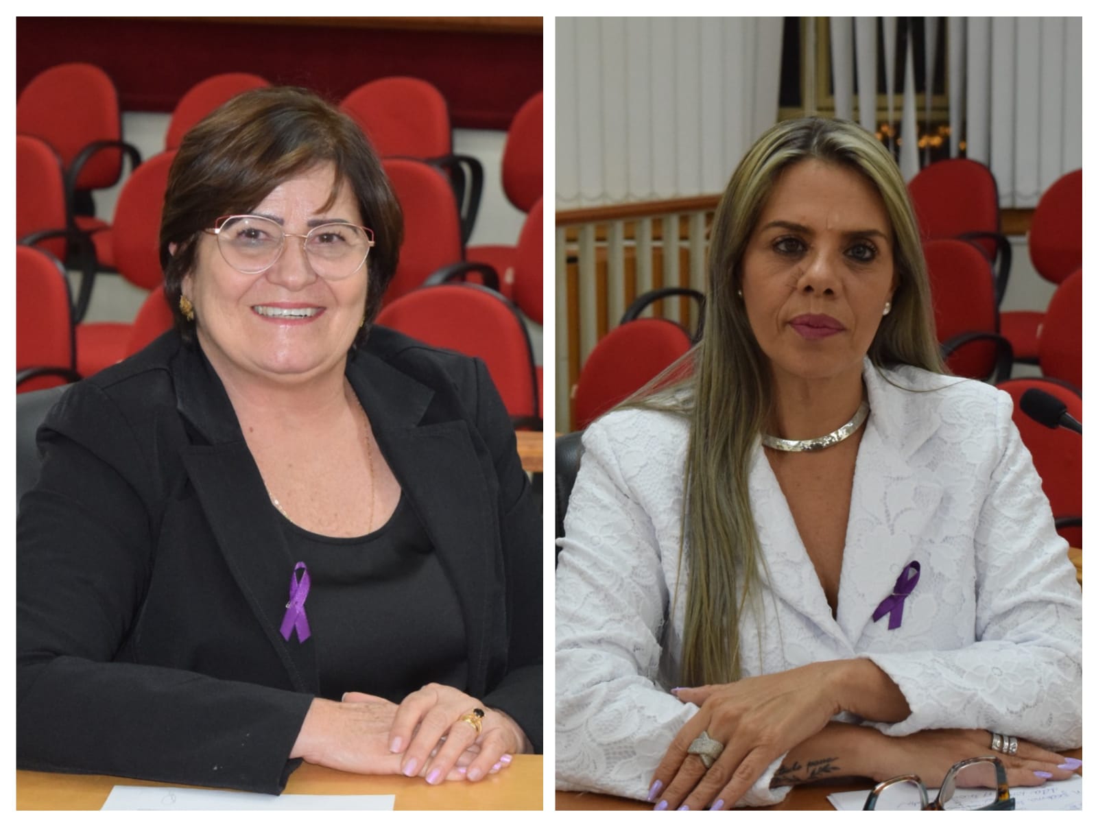Vereadoras Juliene e Maíza cobram cumprimento de atendimento prioritário do TEA em instituições