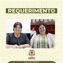 Vereadoras Maíza Signorelli e Márcia do Deley querem cadastro de Frutal no Plano de Aplicação de Recursos (PAR)