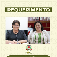 Vereadoras Maíza Signorelli e Márcia do Deley querem cadastro de Frutal no Plano de Aplicação de Recursos (PAR)