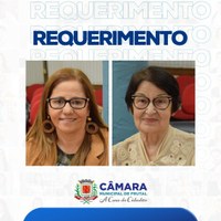 Vereadoras Vaininha e Professora Irma querem realização de mutirão de ultrassonografia para zerar filas de espera